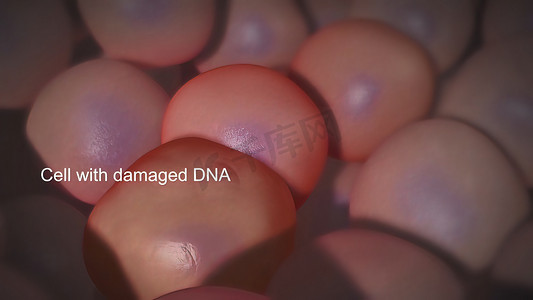血液肿瘤摄影照片_当遗传变化干扰这一有序过程时，癌症就开始了。