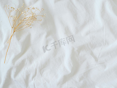 重阳节背景横版摄影照片_审美床单和干花背景