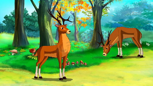 鹿在森林插画