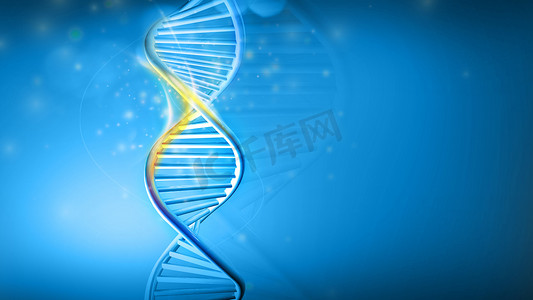 蓝色背景上的 DNA 螺旋模型，3D 渲染。