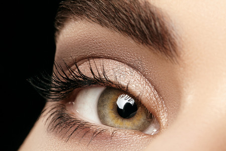 美丽的女性眼睛特写宏与完美形状的眉毛。