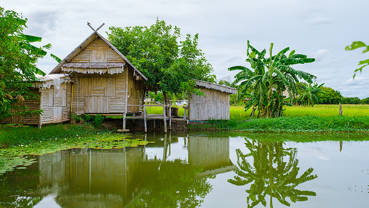 泰国中部有稻田的生态农场寄宿，雨季期间有稻田