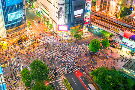 涩谷摄影照片_从东京的顶视图看涩谷十字路口