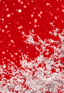 促销冬季摄影照片_圣诞节、新年红色花卉背景、节日贺卡设计、花树和雪花作为豪华美容品牌的冬季促销背景
