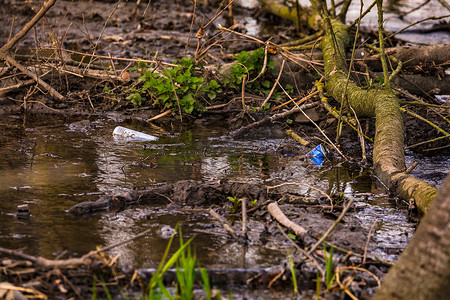 饮料罐垃圾摄影照片_德国森林保护区的饮料罐污染了我们的生活空间