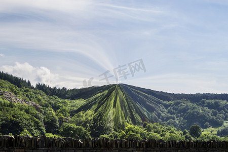 数字插画风景背景