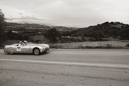 CISITALIA 202 SMM SPIDER NUVOLARI 1947 年在一辆旧赛车上参加 2020 年意大利著名历史赛事 Mille Miglia 拉力赛（1927-1957 年）