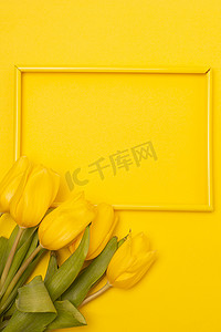 黄色广告海报摄影照片_郁金香和黄色背景上的框架。 