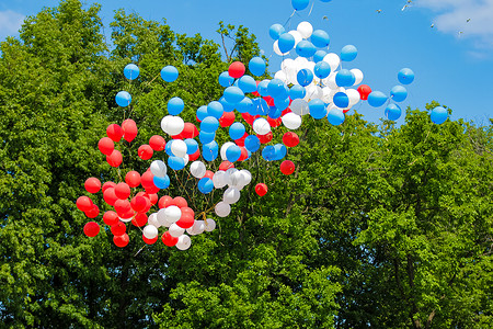 一束束五颜六色的气球飞向森林上方的天空。