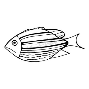 素描手摄影照片_手绘黑白鱼涂鸦素描插图。
