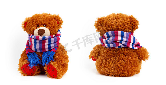 一组泰迪卷曲棕色熊，戴着针织彩色围巾，隔离