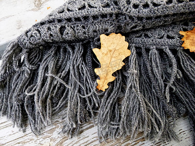 钩针编织的灰色披肩躺在秋季公园的长凳上。