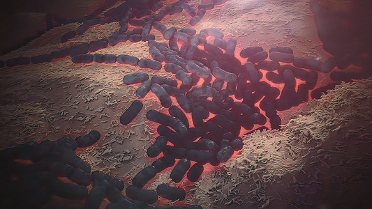幽门螺杆菌，一种定居在胃中的微需氧细菌
