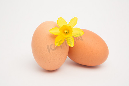 两个鸡蛋和一朵黄色水仙花