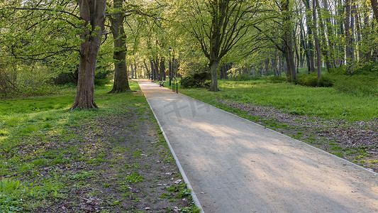 希维诺乌伊希切 Zdrojowy 公园的小巷