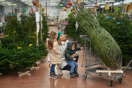 母亲和孩子们在市场上挑选一棵圣诞树。