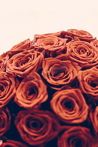 七夕礼物摄影照片_复古奢华的橙色玫瑰花束，鲜花盛开，作为花卉假日背景