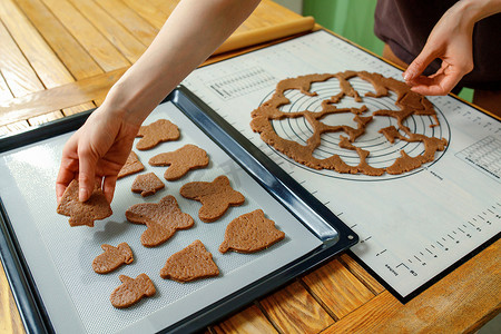 女人的手将不同形状的自制饼干铺在烤盘上的硅胶烤垫上