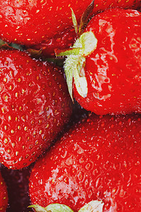 红草莓摄影照片_多汁、成熟的天然红草莓，不含转基因成分。