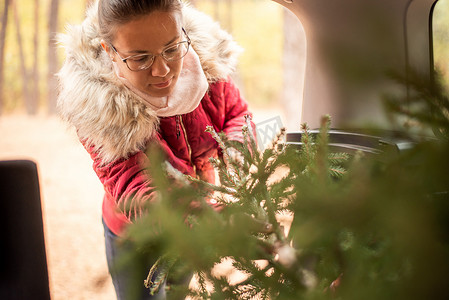 戴眼镜、温暖的红色冬季夹克和围巾的年轻女子将圣诞树放进车里运回家