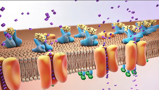 内分泌摄影照片_胰岛素受体 3d 插图