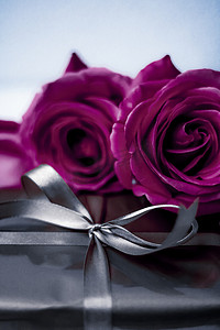 圣诞节礼物棒摄影照片_豪华假日银礼盒和紫色玫瑰作为圣诞节、情人节或生日礼物