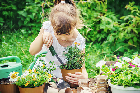 小女孩背景摄影照片_一个小女孩正在种花。