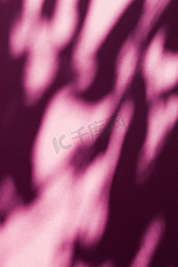 阴影覆盖摄影照片_抽象艺术、植物阴影覆盖在腮红粉红色背景上，适合度假奢华和复古平面设计