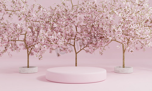 简约樱桃摄影照片_公共花园的简约风格圆筒粉红色产品讲台展示有樱花树或日语“樱花”。