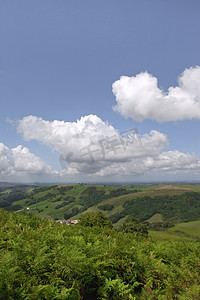 蓝天背景下的山丘和蕨类植物景观