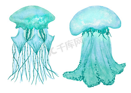卡通海洋海洋动物摄影照片_蓝色绿松石紫色水母、海洋水下野生动物的水彩插图。