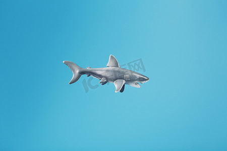 在蓝色背景的露齿鲨玩具与自由空间。