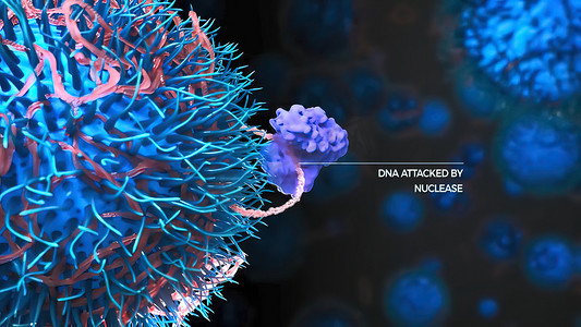 氢氧结合摄影照片_DNA 受到核酸酶攻击 蛋白质与 DNA 分子结合