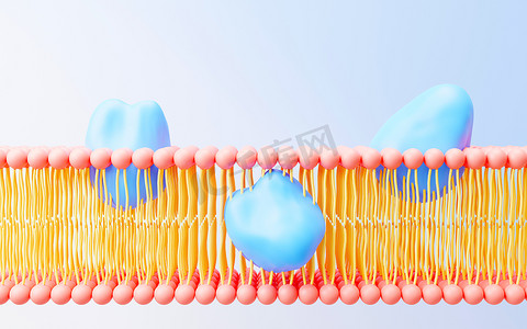 3d 渲染细胞膜磷脂双层。