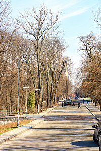 社区服务团队在城市公园进行春季大扫除和修剪干枯和患病的树木。