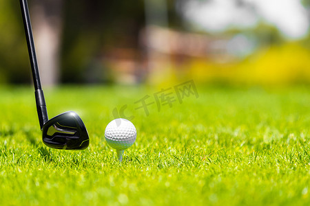 铁杆山药山药摄影照片_高尔夫铁杆准备在高尔夫球场的绿草上击球