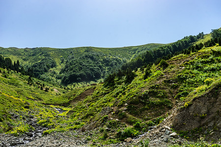 绿色山摄影照片_格鲁吉亚古里亚地区高加索山