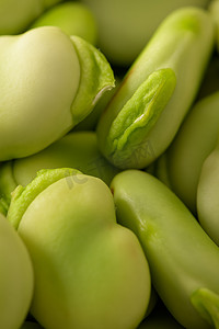 新鲜和未加工的绿色蚕豆