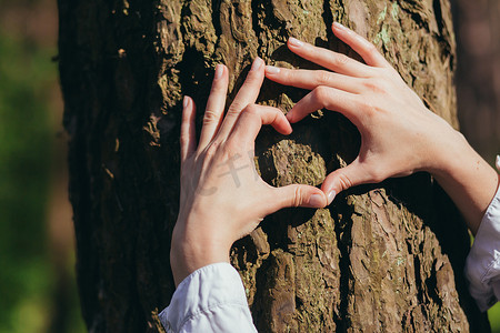 西双版纳森林公园摄影照片_一位年轻女子的手拥抱森林里的一棵树，表现出内心和对自然的热爱