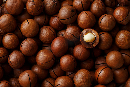 瓜皮果壳摄影照片_全框近视有机澳洲坚果新鲜天然果壳一粒坚果的质地