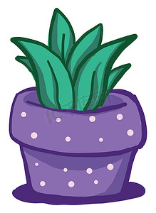 紫色盆栽植物，插图，白色背景矢量