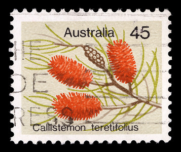澳大利亚打印的邮票显示针瓶