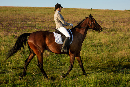 年轻女子骑手与她的马在傍晚的夕阳光下。