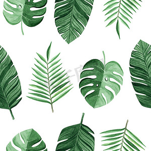 水彩绿色热带棕榈和龟背竹在白色背景上留下无缝图案，用于织物、纺织品、品牌、邀请函、剪贴簿、包装