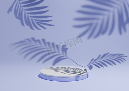 浅色3d背景摄影照片_浅色、淡蓝色、3D 渲染简单、最小的产品展示组合背景，在自然产品的背景中有 ont 讲台或展台和树叶阴影。
