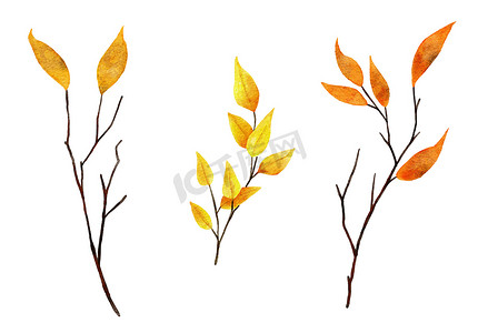 水彩手绘插图的细树枝树枝与黄橙色的叶子。