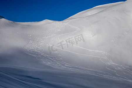 在粉雪中画滑雪者