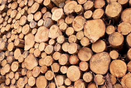 木堆 - 木材工业。