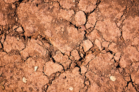 干燥、带裂缝的红土