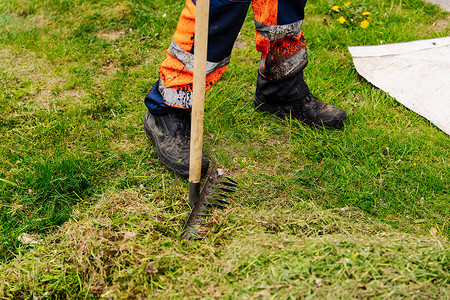 市市政服务人员清除草坪上割下的草